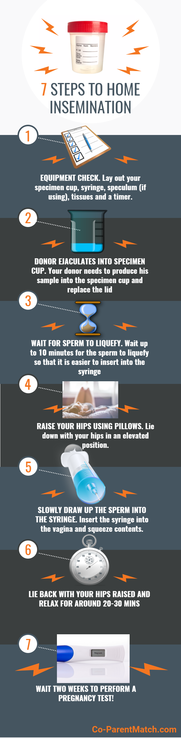 7 Steps to Home Insemination Infographic
